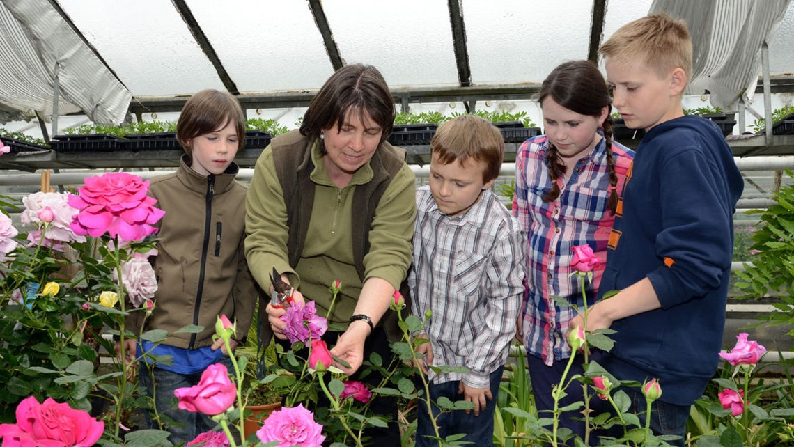 Minigaertner 2 1080X720