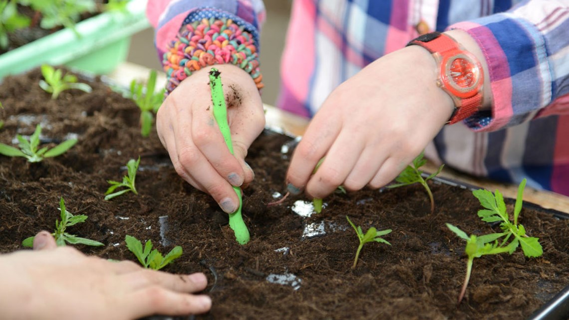 Minigaertner 4 1080X720