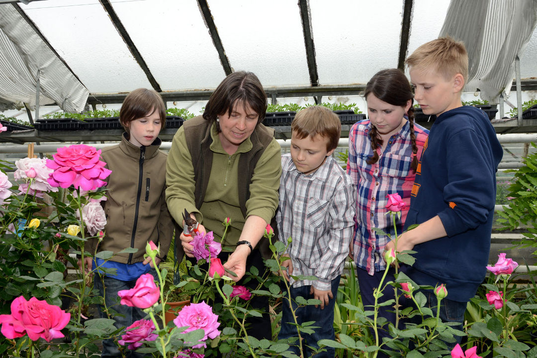 Minigaertner 2 1080X720