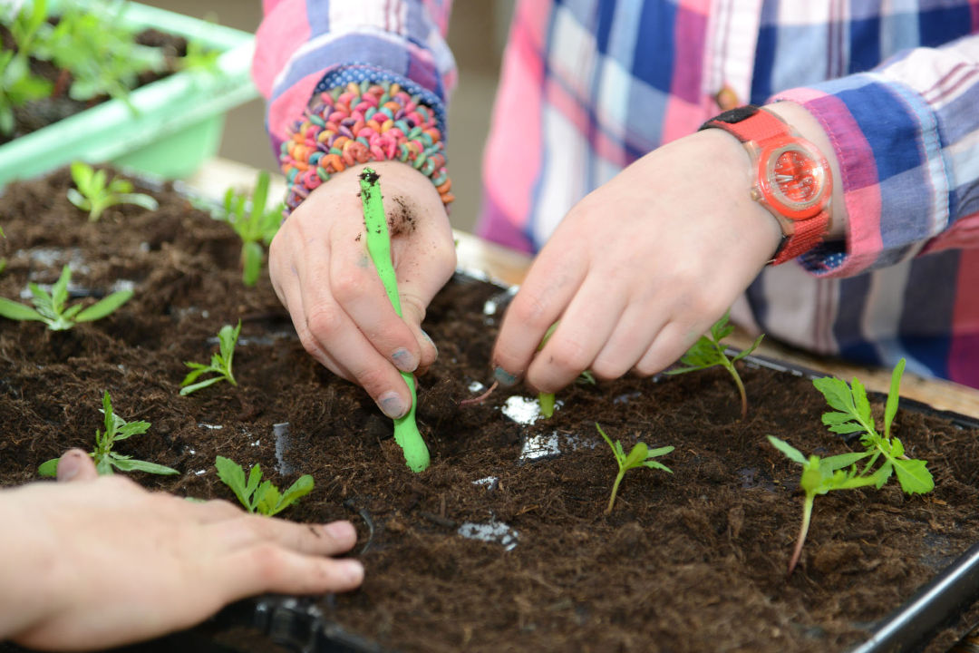 Minigaertner 4 1080X720